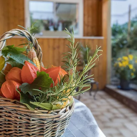 Grauer Appartement